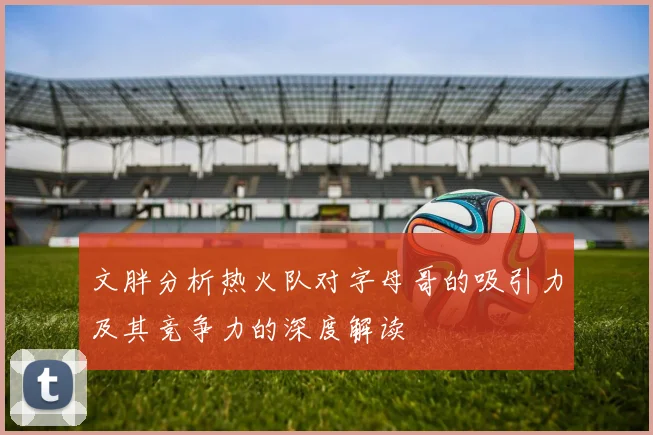 文胖分析热火队对字母哥的吸引力及其竞争力的深度解读