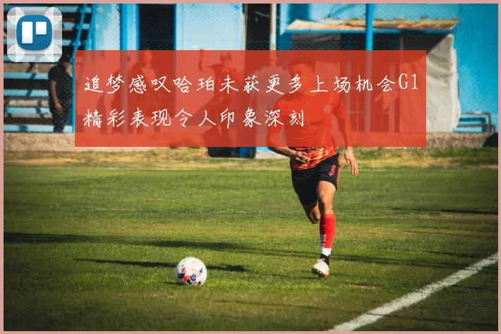 追梦感叹哈珀未获更多上场机会G1精彩表现令人印象深刻