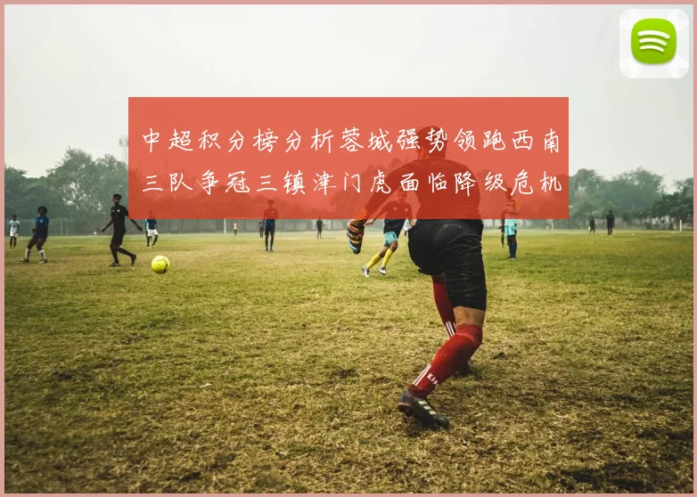 中超积分榜分析蓉城强势领跑西南三队争冠三镇津门虎面临降级危机